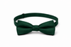 Bright Green Bow Tie - Stylish and Formal